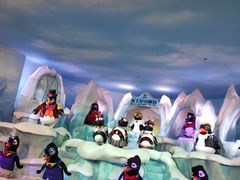 -帝企鹅自助餐厅•儿童岛•真企鹅(长隆企鹅酒店)