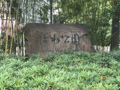 -活水公园