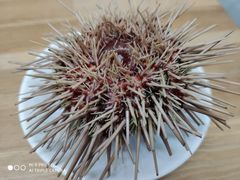 -海胆小馆(东北水饺·春柳店)