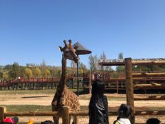 -鄂尔多斯野生动物园