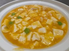 鲜虾蘑菇烩豆腐-宏宴·新京菜(望京店)