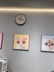 -洗脸猫·洗脸吧
