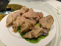 -丁老爷子苏香圆