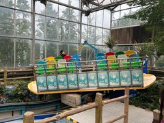 -南宫五洲植物乐园