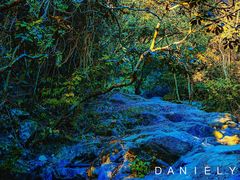 -梧桐山风景名胜区
