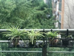 -晓V彩妆造型(大学路店)