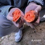 杭州余杭可以free的露营⛺️地