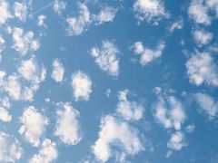 -行者书屋大堂吧 ·下午茶(南京圣和府邸酒店)