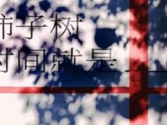 -沈阳铁西万象汇