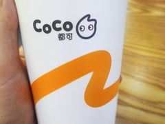 鲜芋青稞牛奶-CoCo都可(铁西万达店)