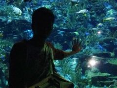 -一乐烧鹅(中环店)