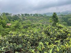 -桃源山庄·烤全羊·柴火鸡·烧烤团建(龙泉山店)