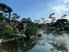 -罗红摄影艺术馆