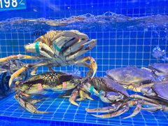 -启东小海鲜(庄先湾路1号店)