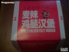 外壳-麦当劳(曲阳店)