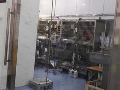 -伟伟宠物医院·CT影像中心·瑞派犬猫综合性门诊(汉口总院)