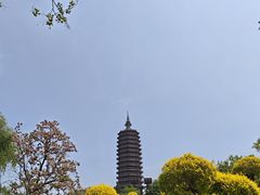 -西海子公园