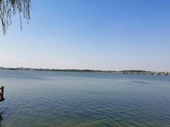 -丁香湖公园