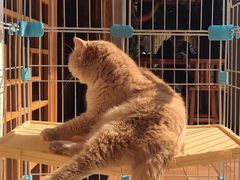 -朕悦鹧鸪饭私房菜