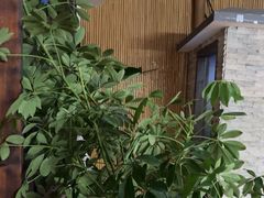 -金稼园·金平湖农家菜