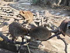 -宁波野生动物园