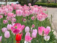 -浙江农林大学(东湖校区)