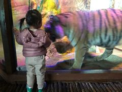 -皇家极地海洋世界-售票处