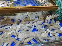 -船梆煮•蒸汽海鲜·生腌干蒸(五四广场店)