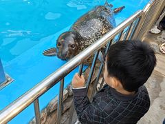 -泉城欧乐堡海洋极地世界