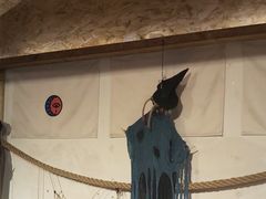 -长藤鬼校(龙翔店)