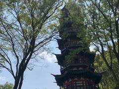 -上海佘山国家森林公园西佘山园