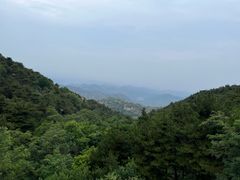 -鲁山国家森林公园