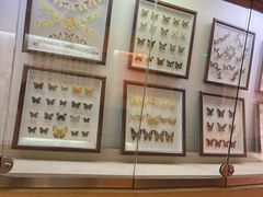 -陕西自然博物馆