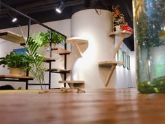 大堂-共舞时光猫咖·狗咖(新街口店)
