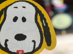 -史努比缤纷世界