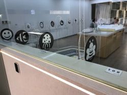 -海豚湾高端月子会所(黄浦店)