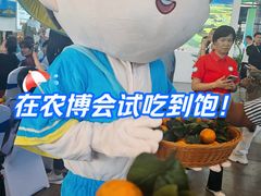 -南宁国际会展中心(会展东博文化旅游区)