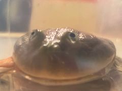 -嘉兴海底世界