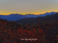 -北京西山国家森林公园