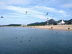 -海驴岛(荣成市)