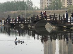 -前关湿地公园