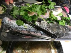 -香坝坝鲜鱼火锅(春熙路店)