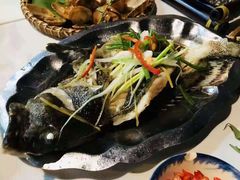 葱油石斑鱼-老房子·1881海鲜餐厅
