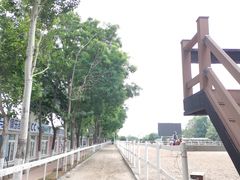 -大连凯洋马术俱乐部有限公司
