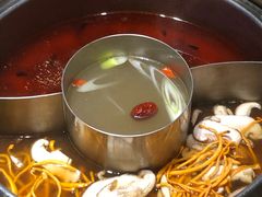 -鲜货俚鲜火锅(青果路店)