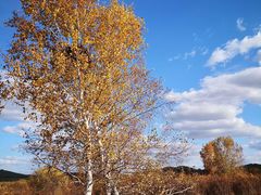 -塞罕坝国家级自然保护区