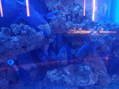 -上和臻品中国菜(花园街店)