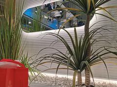 -兰湘子·湘菜小炒(崂山丽达店)