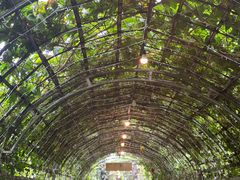 -Ohkajhu Organic Farm Sansai