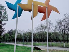 -西安浐灞国家湿地公园